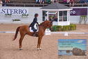 Filename=PT9_6235.JPG
Filesize=449KiB
Dimensions=1224x817
Date added=Jul 19, 2023 PT9_6235.JPG