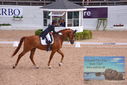 Filename=PT9_6236.JPG
Filesize=505KiB
Dimensions=1224x817
Date added=Jul 19, 2023 PT9_6236.JPG