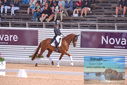 Filename=PT9_6269.JPG
Filesize=400KiB
Dimensions=1224x817
Date added=Jul 19, 2023 PT9_6269.JPG