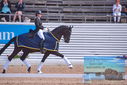 Filename=PT9_6317.JPG
Filesize=379KiB
Dimensions=1224x817
Date added=Jul 19, 2023 PT9_6317.JPG