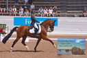 Filename=PT9_6477.JPG
Filesize=481KiB
Dimensions=1224x817
Date added=Jul 19, 2023 PT9_6477.JPG