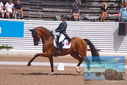 Filename=PT9_6481.JPG
Filesize=425KiB
Dimensions=1224x817
Date added=Jul 19, 2023 PT9_6481.JPG