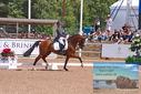 Filename=PT9_6492.JPG
Filesize=540KiB
Dimensions=1224x817
Date added=Jul 19, 2023 PT9_6492.JPG