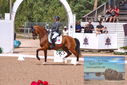Filename=PT9_6496.JPG
Filesize=431KiB
Dimensions=1224x817
Date added=Jul 19, 2023 PT9_6496.JPG