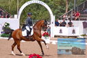 Filename=PT9_6504.JPG
Filesize=451KiB
Dimensions=1224x817
Date added=Jul 19, 2023 PT9_6504.JPG