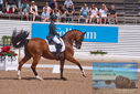 Filename=PT9_6507.JPG
Filesize=472KiB
Dimensions=1224x817
Date added=Jul 19, 2023 PT9_6507.JPG