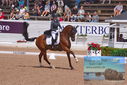 Filename=PT9_6510.JPG
Filesize=501KiB
Dimensions=1224x817
Date added=Jul 19, 2023 PT9_6510.JPG
