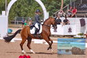 Filename=PT9_6512.JPG
Filesize=441KiB
Dimensions=1224x817
Date added=Jul 19, 2023 PT9_6512.JPG
