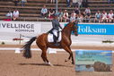 Filename=PT9_6514.JPG
Filesize=490KiB
Dimensions=1224x817
Date added=Jul 19, 2023 PT9_6514.JPG