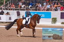Filename=PT9_6517.JPG
Filesize=468KiB
Dimensions=1224x817
Date added=Jul 19, 2023 PT9_6517.JPG