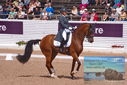 Filename=PT9_6521.JPG
Filesize=443KiB
Dimensions=1224x817
Date added=Jul 19, 2023 PT9_6521.JPG