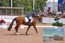 Filename=PT9_6527.JPG
Filesize=542KiB
Dimensions=1224x817
Date added=Jul 19, 2023 PT9_6527.JPG
