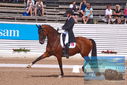 Filename=PT9_6589.JPG
Filesize=431KiB
Dimensions=1224x817
Date added=Jul 19, 2023 PT9_6589.JPG