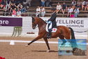 Filename=PT9_6590.JPG
Filesize=487KiB
Dimensions=1224x817
Date added=Jul 19, 2023 PT9_6590.JPG