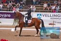 Filename=PT9_6591.JPG
Filesize=489KiB
Dimensions=1224x817
Date added=Jul 19, 2023 PT9_6591.JPG