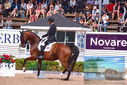 Filename=PT9_6604.JPG
Filesize=465KiB
Dimensions=1224x817
Date added=Jul 19, 2023 PT9_6604.JPG