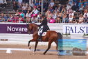 Filename=PT9_6606.JPG
Filesize=469KiB
Dimensions=1224x817
Date added=Jul 19, 2023 PT9_6606.JPG