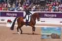 Filename=PT9_6617.JPG
Filesize=519KiB
Dimensions=1224x817
Date added=Jul 19, 2023 PT9_6617.JPG
