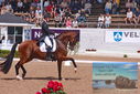 Filename=PT9_6621.JPG
Filesize=512KiB
Dimensions=1224x817
Date added=Jul 19, 2023 PT9_6621.JPG