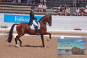 Filename=PT9_6624.JPG
Filesize=489KiB
Dimensions=1224x817
Date added=Jul 19, 2023 PT9_6624.JPG