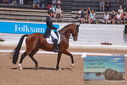 Filename=PT9_6625.JPG
Filesize=491KiB
Dimensions=1224x817
Date added=Jul 19, 2023 PT9_6625.JPG