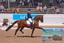 Filename=PT9_6632.JPG
Filesize=499KiB
Dimensions=1224x817
Date added=Jul 19, 2023 PT9_6632.JPG