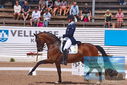 Filename=PT9_6638.JPG
Filesize=436KiB
Dimensions=1224x817
Date added=Jul 19, 2023 PT9_6638.JPG
