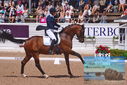Filename=PT9_6650.JPG
Filesize=501KiB
Dimensions=1224x817
Date added=Jul 19, 2023 PT9_6650.JPG