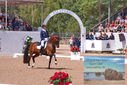 Filename=PT9_6654.JPG
Filesize=462KiB
Dimensions=1224x817
Date added=Jul 19, 2023 PT9_6654.JPG