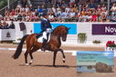Filename=PT9_6656.JPG
Filesize=510KiB
Dimensions=1224x817
Date added=Jul 19, 2023 PT9_6656.JPG