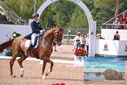 Filename=PT9_6822.JPG
Filesize=434KiB
Dimensions=1224x817
Date added=Jul 19, 2023 PT9_6822.JPG