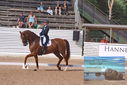 Filename=PT9_6825.JPG
Filesize=472KiB
Dimensions=1224x817
Date added=Jul 19, 2023 PT9_6825.JPG