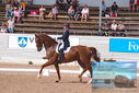 Filename=PT9_6826.JPG
Filesize=481KiB
Dimensions=1224x817
Date added=Jul 19, 2023 PT9_6826.JPG