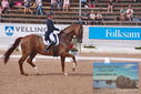 Filename=PT9_6840.JPG
Filesize=491KiB
Dimensions=1224x817
Date added=Jul 19, 2023 PT9_6840.JPG