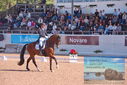 Filename=PT9_6848.JPG
Filesize=520KiB
Dimensions=1224x817
Date added=Jul 20, 2023 PT9_6848.JPG