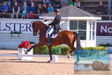 Filename=PT9_6858.JPG
Filesize=456KiB
Dimensions=1224x817
Date added=Jul 20, 2023 PT9_6858.JPG