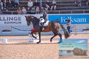 Filename=PT9_6864.JPG
Filesize=467KiB
Dimensions=1224x817
Date added=Jul 20, 2023 PT9_6864.JPG