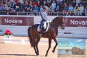 Filename=PT9_6872.JPG
Filesize=430KiB
Dimensions=1224x817
Date added=Jul 20, 2023 PT9_6872.JPG