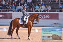 Filename=PT9_6874.JPG
Filesize=443KiB
Dimensions=1224x817
Date added=Jul 20, 2023 PT9_6874.JPG