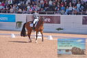 Filename=PT9_6879.JPG
Filesize=466KiB
Dimensions=1224x817
Date added=Jul 20, 2023 PT9_6879.JPG
