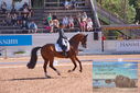 Filename=PT9_6881.JPG
Filesize=550KiB
Dimensions=1224x817
Date added=Jul 20, 2023 PT9_6881.JPG