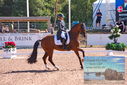 Filename=PT9_6882.JPG
Filesize=551KiB
Dimensions=1224x817
Date added=Jul 20, 2023 PT9_6882.JPG