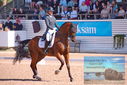 Filename=PT9_6884.JPG
Filesize=415KiB
Dimensions=1224x817
Date added=Jul 20, 2023 PT9_6884.JPG