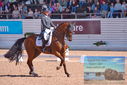 Filename=PT9_6885.JPG
Filesize=426KiB
Dimensions=1224x817
Date added=Jul 20, 2023 PT9_6885.JPG