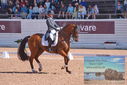Filename=PT9_6886.JPG
Filesize=447KiB
Dimensions=1224x817
Date added=Jul 20, 2023 PT9_6886.JPG