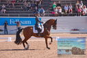 Filename=PT9_6887.JPG
Filesize=507KiB
Dimensions=1224x817
Date added=Jul 20, 2023 PT9_6887.JPG