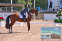 Filename=PT9_6890.JPG
Filesize=543KiB
Dimensions=1224x817
Date added=Jul 20, 2023 PT9_6890.JPG