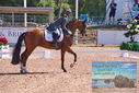 Filename=PT9_6891.JPG
Filesize=546KiB
Dimensions=1224x817
Date added=Jul 20, 2023 PT9_6891.JPG