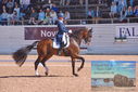 Filename=PT9_6895.JPG
Filesize=472KiB
Dimensions=1224x817
Date added=Jul 20, 2023 PT9_6895.JPG