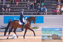 Filename=PT9_6896.JPG
Filesize=443KiB
Dimensions=1224x817
Date added=Jul 20, 2023 PT9_6896.JPG
